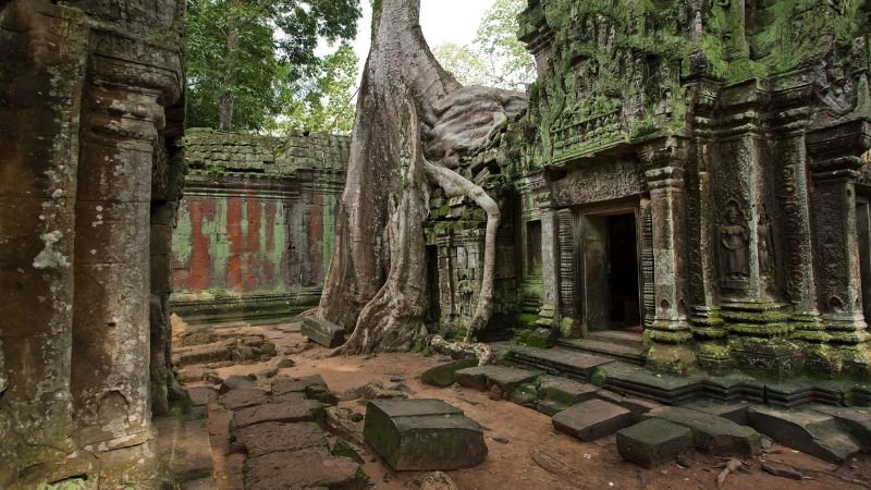 Vietnam Airlines Siem Reap Office in Cambodia